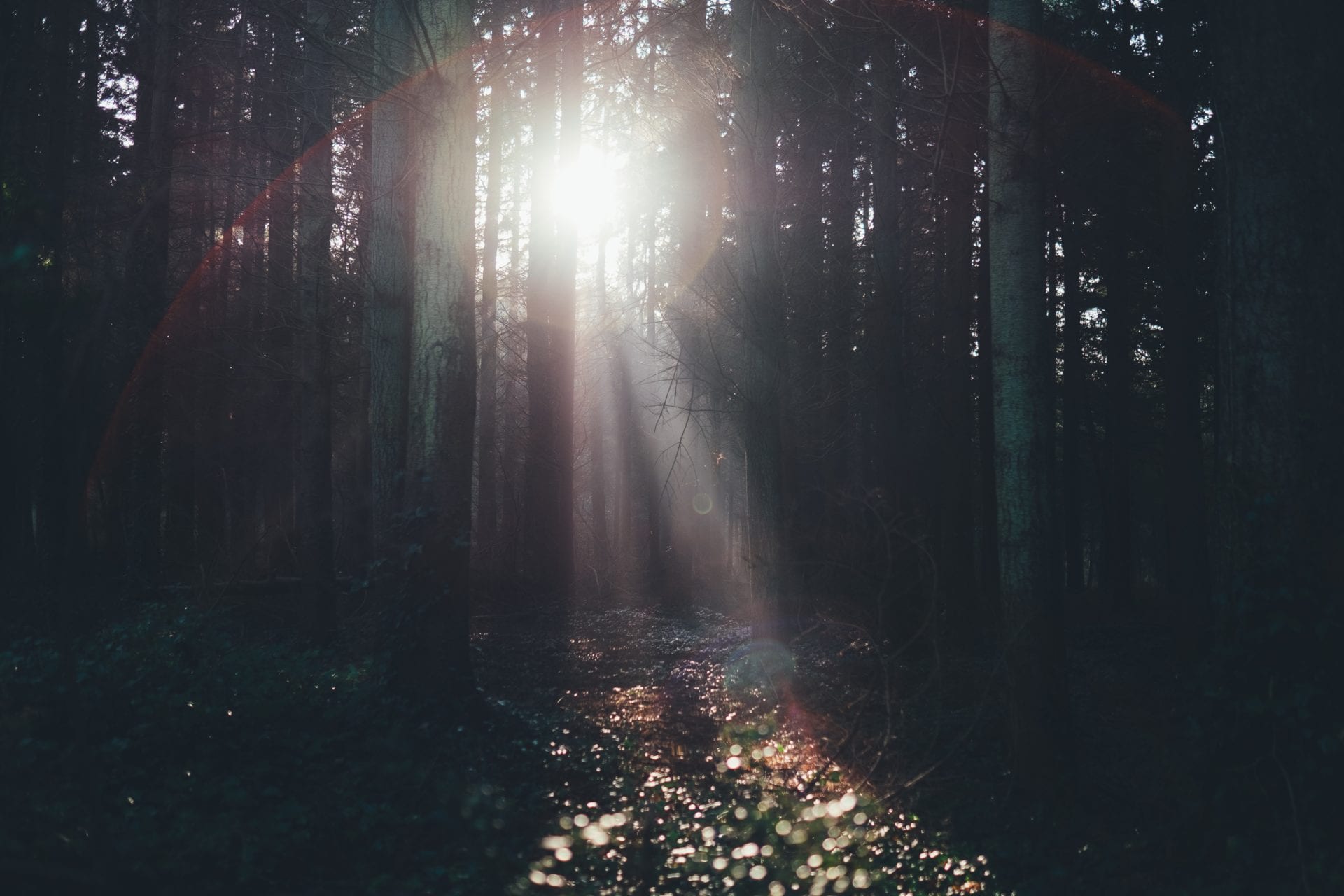 How the Spirit Ignites Our Supplication