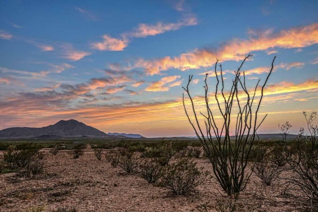 Landscape in Texas with hill in background and sparse desert foliage at sunset